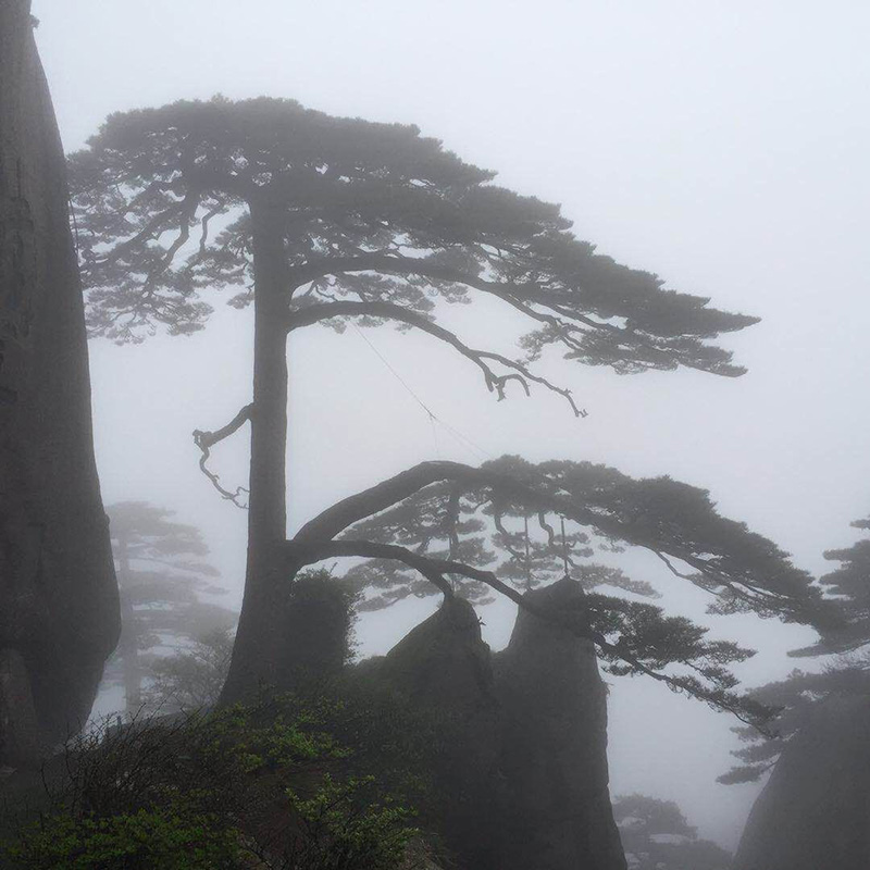 1594280459113767.jpg 1594087082580541.jpg